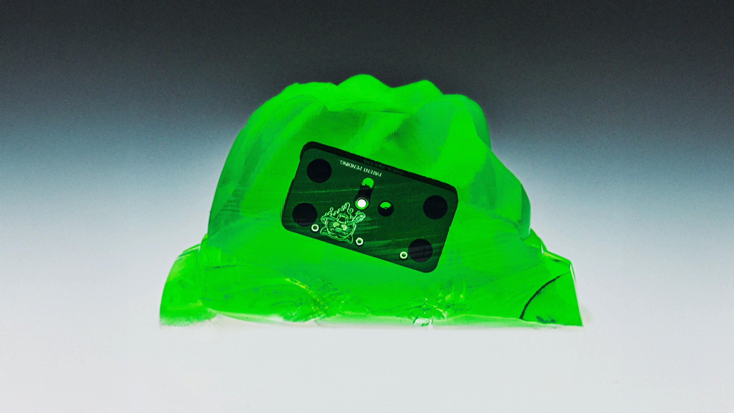 260326_Gelatin_0173_1a5da0d7-de23-4ae3-9808-a661bd1771f0.jpg