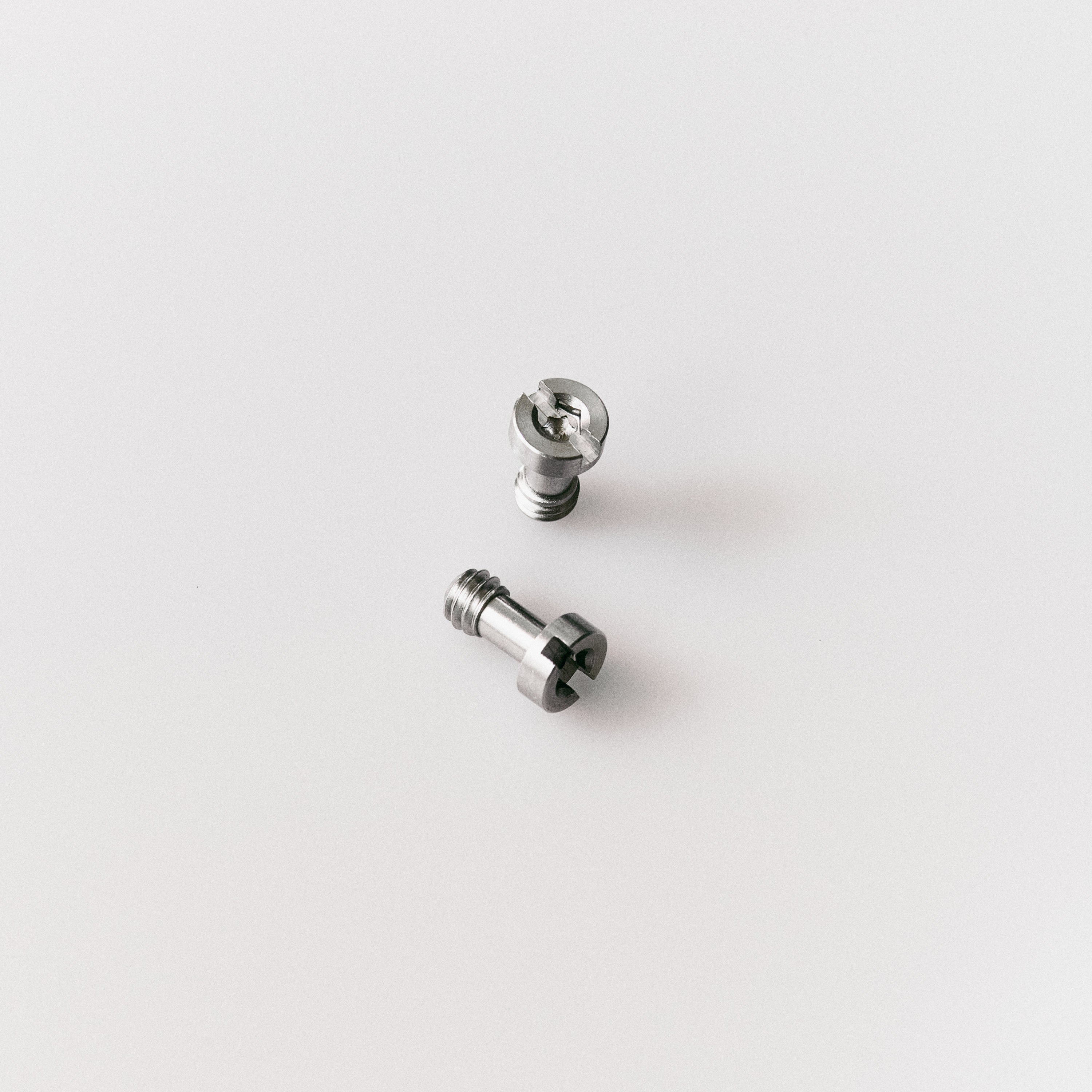 Pantera Plate Replacement Screws (Pair)