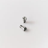 Pantera Plate Replacement Screws (Pair)